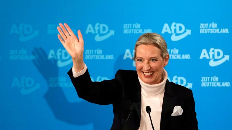 alice vaindel afd